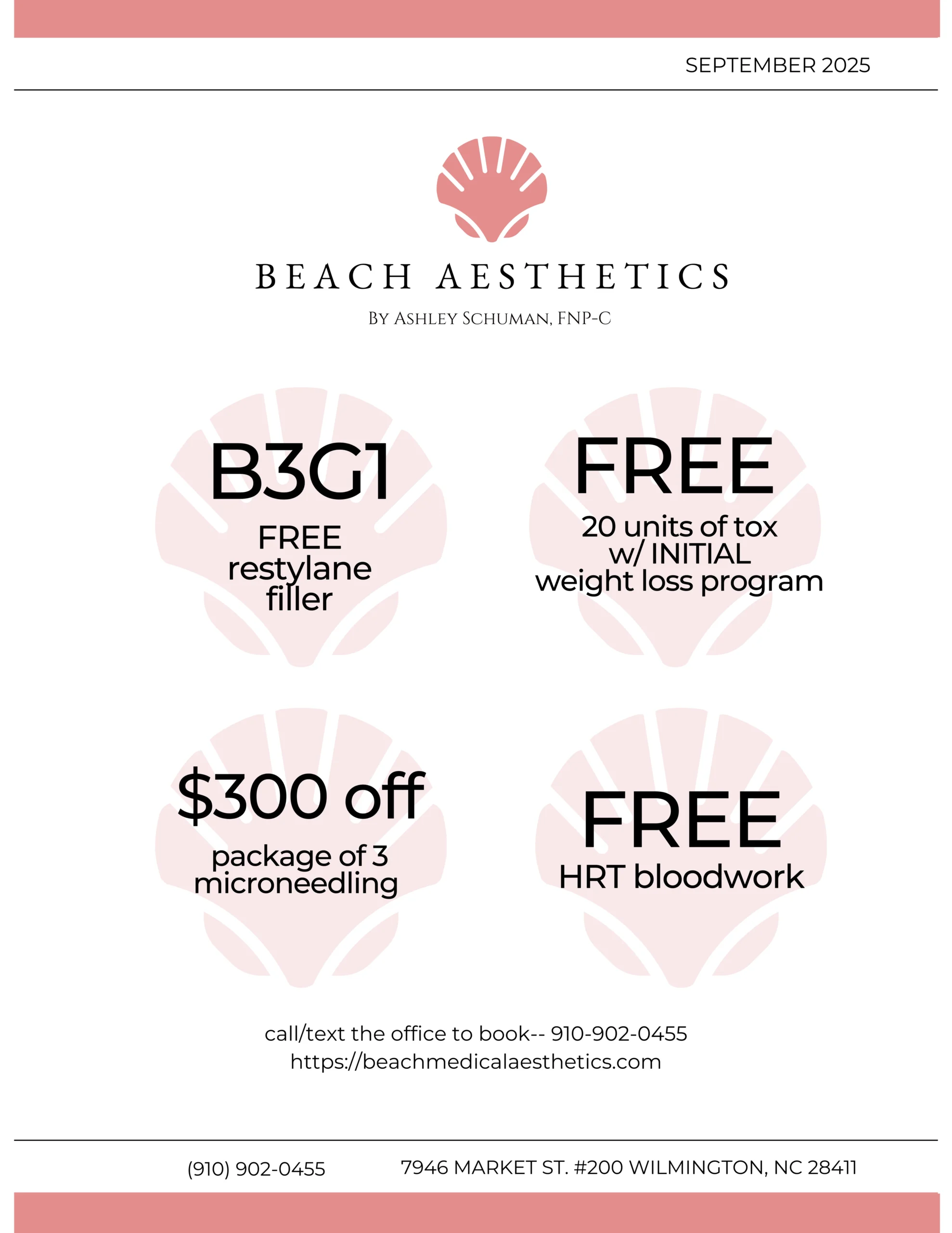Beach Aesthetic Newsletter